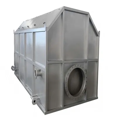 Small Drum Filter